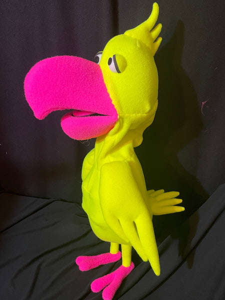 Parrot